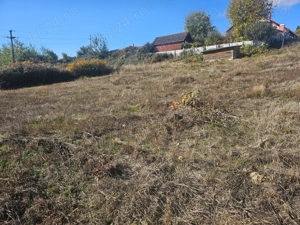 Teren Tautii Magheraus panorama deosebita - imagine 7