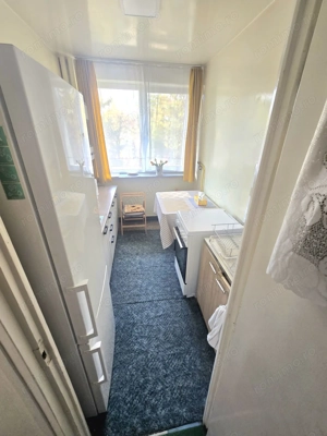 Apartament 2 camere de vânzare în Grigorescu-Vlahuta, et.3 - imagine 3