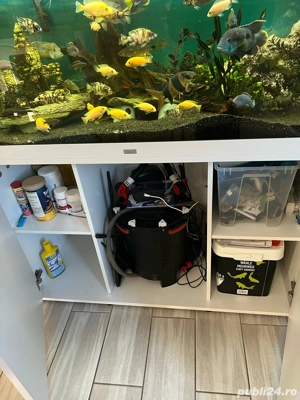 Acvariu 450l Juwel complet - imagine 5