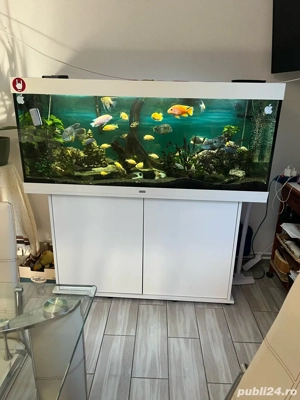Acvariu 450l Juwel complet - imagine 2