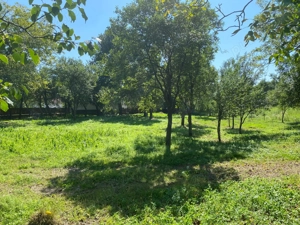 vand casa langa Jibou - imagine 4