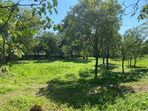 vand casa langa Jibou - imagine 5