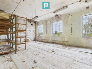 Spațiu versatil  250 mp de investiții în Periam - imagine 3