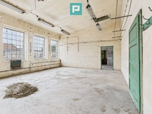 Spațiu versatil  250 mp de investiții în Periam - imagine 4