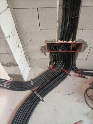 Execut servicii contra cost. - imagine 2