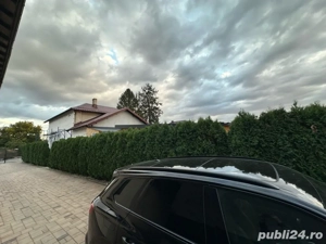 vand tuia smarangd 250-270cm