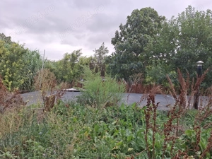 Vand teren intravilan cu potential turistic 4000 MP Cheia, Cheile Dobrogei, jud. Constanta - imagine 7