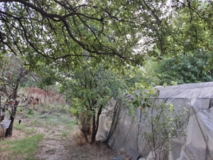 Vand teren intravilan cu potential turistic 4000 MP Cheia, Cheile Dobrogei, jud. Constanta - imagine 8