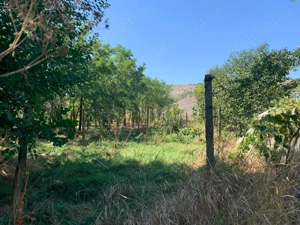 Vand teren intravilan cu potential turistic 4000 MP Cheia, Cheile Dobrogei, jud. Constanta - imagine 9