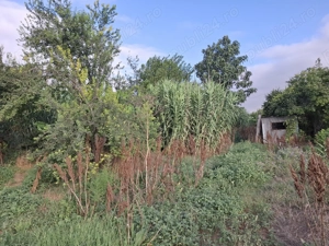 Vand teren intravilan cu potential turistic 4000 MP Cheia, Cheile Dobrogei, jud. Constanta - imagine 10