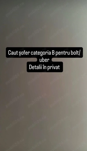 Angajez sofer bolt