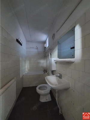 Casa P+M cu anexe in Vladimirescu - imagine 13