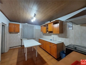 Casa P+M cu anexe in Vladimirescu - imagine 5