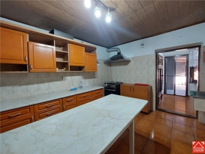 Casa P+M cu anexe in Vladimirescu - imagine 15