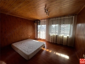 Casa P+M cu anexe in Vladimirescu - imagine 6