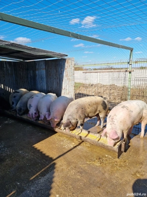 Vând Pietran - imagine 5