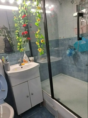 Inchirieri camera curte