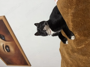 Garsoniera parter CET bucatarie cu geam