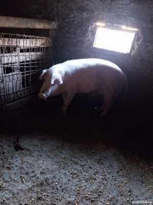 De vinzare  - imagine 2 De vinzare  - imagine 2