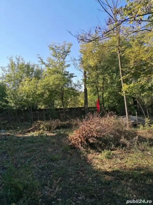 Teren intravilan Vadastrita, Olt. - imagine 5