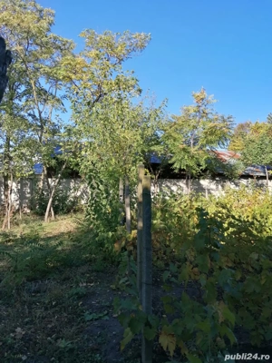 Teren intravilan Vadastrita, Olt. - imagine 4