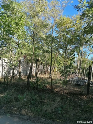 Teren intravilan Vadastrita, Olt. - imagine 2