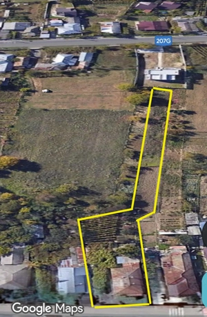 Teren de vanzare in comuna Letea-Veche. - imagine 3