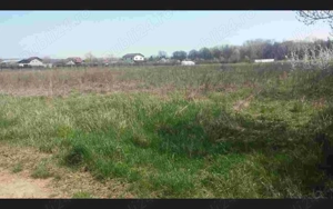 Teren 5300mp Teis DB 17 Euro Mp Sau parcelat - imagine 6