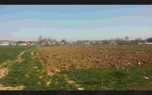 Teren 5300mp Teis DB 17 Euro Mp Sau parcelat - imagine 2