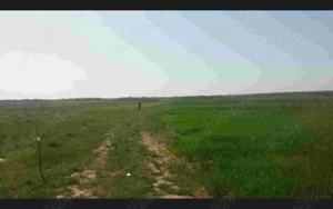 Teren 5300mp Teis DB 17 Euro Mp Sau parcelat - imagine 4