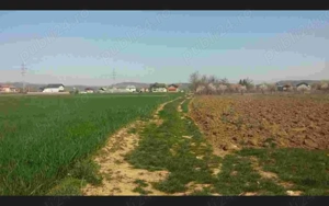 Teren 5300mp Teis DB 17 Euro Mp Sau parcelat - imagine 3