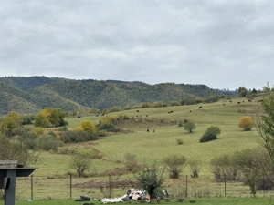 Vând teren extravilan Orlat