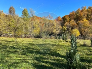 Teren de vanzare Cuiejdel 1350 mp - imagine 11