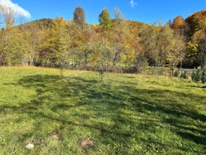 Teren de vanzare Cuiejdel 1350 mp - imagine 7