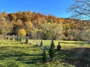 Teren de vanzare Cuiejdel 1350 mp - imagine 3