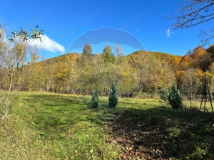 Teren de vanzare Cuiejdel 1350 mp - imagine 9