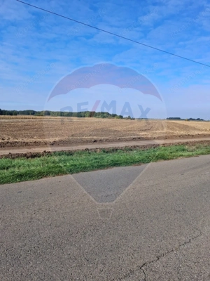 Teren 21,177mp Santaul Mic / Strada - - imagine 4