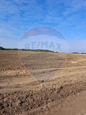 Teren 21,177mp Santaul Mic / Strada - - imagine 3