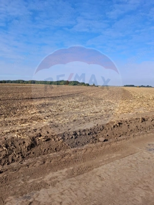 Teren 21,177mp Santaul Mic / Strada - - imagine 2