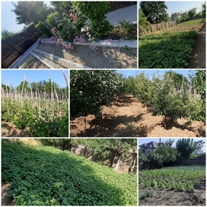 Vând casa sau schimb cu garsoniera etc.1 sau 2