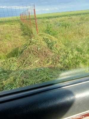 teren de vanzare - imagine 4