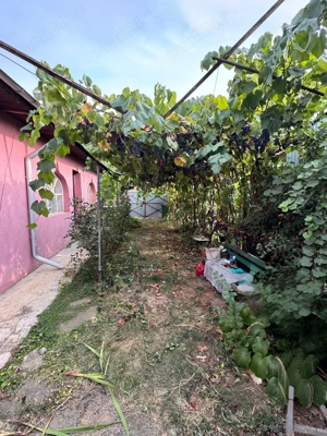 Schimb casă în Fundeni (Călărași) cu garsonieră sau apartament în București - imagine 7