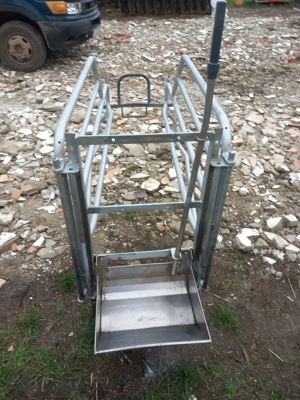 Boxe fătare scroafe  - imagine 2 Boxe fătare scroafe  - imagine 2