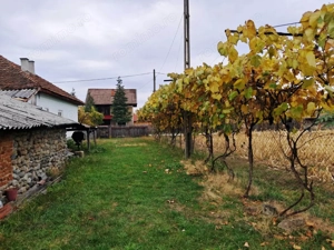 CASĂ SI TEREN BAIA DE FIER - imagine 5