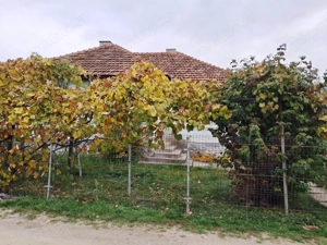 CASĂ SI TEREN BAIA DE FIER - imagine 2