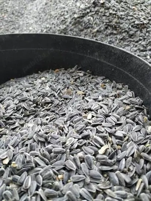 Vand floarea-soarelui