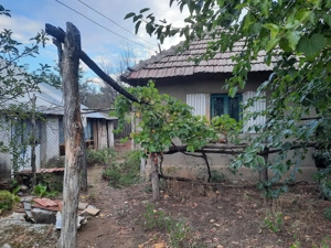 Imobiliare casa de vânzare - imagine 6