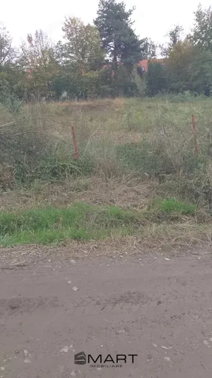 Teren intravilan cu PUZ in Cisnadioara