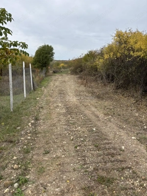 Terenuri de vanzare Saldabagiu de Munte - zona lac – 625-1057 mp - front stradal 26 metri - imagine 9