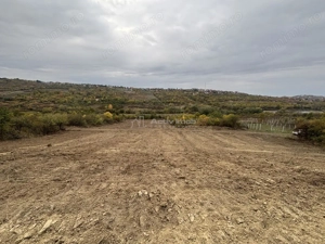 Terenuri de vanzare Saldabagiu de Munte - zona lac – 625-1057 mp - front stradal 26 metri - imagine 10